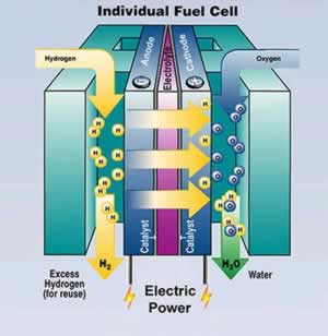 fuel cells